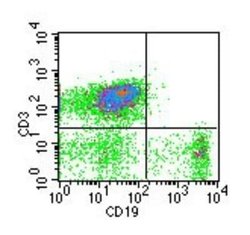 CD19 Antibody (1D3) - Azide and BSA Free, Novus Biologicals 100 ug; Unconjugated:Antibodies,